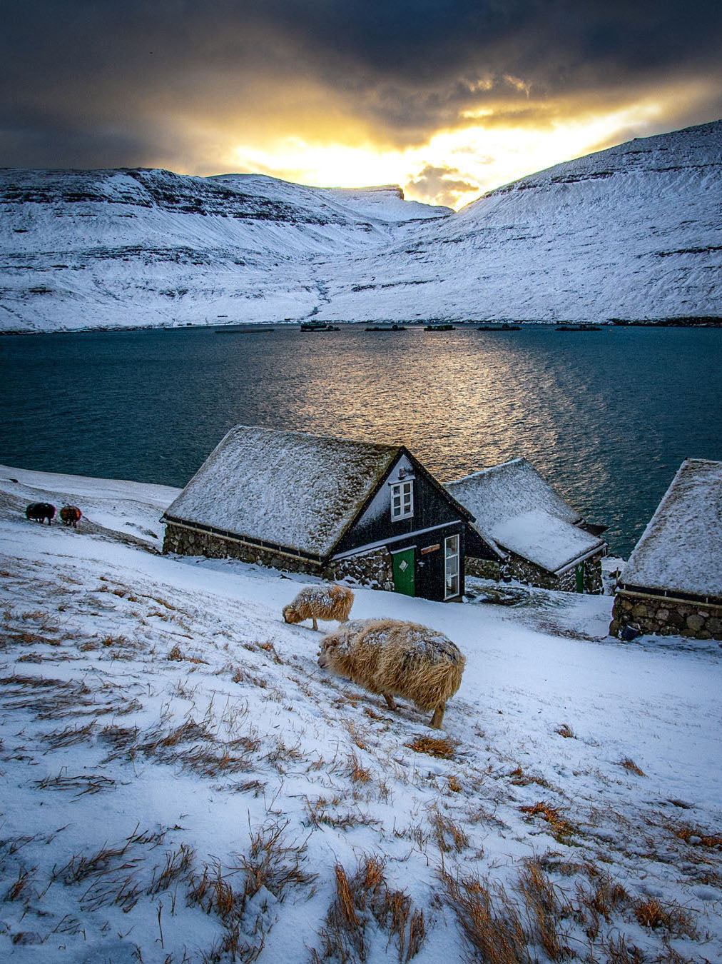 Winter landscape of Bøur village with snow-covered houses and fjord, Faroe Islands photography print