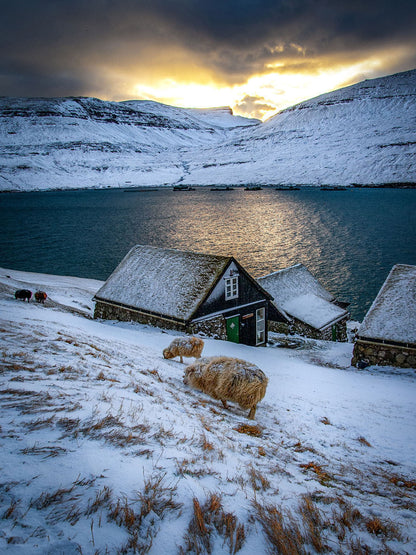 Winter landscape of Bøur village with snow-covered houses and fjord, Faroe Islands photography print