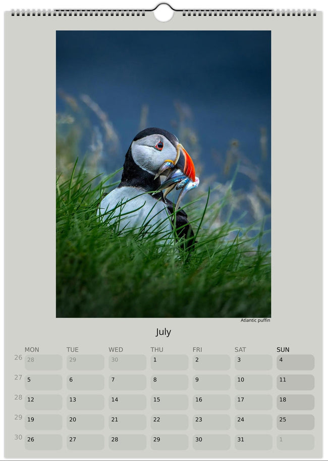 Faroe Islands 2027 wall calendar featuring original landscape photography by Andrija Ilic.