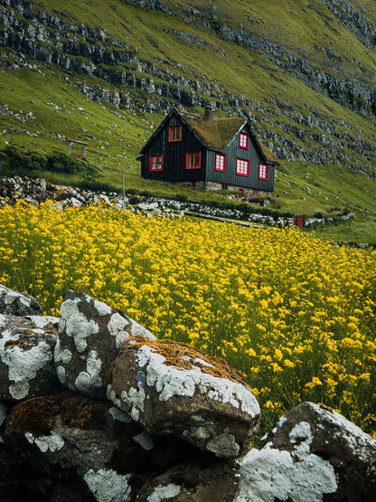 Kirkjubøur village Faroe Islands summer fine art photography print stone walls wildflowers