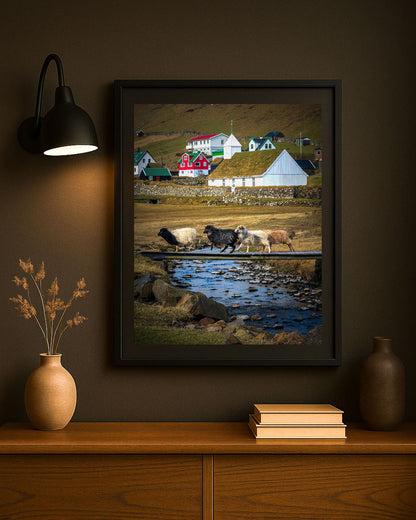 Faroe Islands photography print displayed framed on a wall, sheep crossing a wooden bridge in Húsavík village